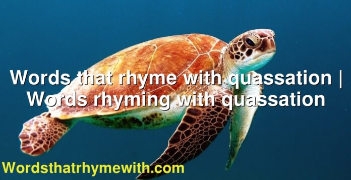 Words that rhyme with quassation | Words rhyming with quassation