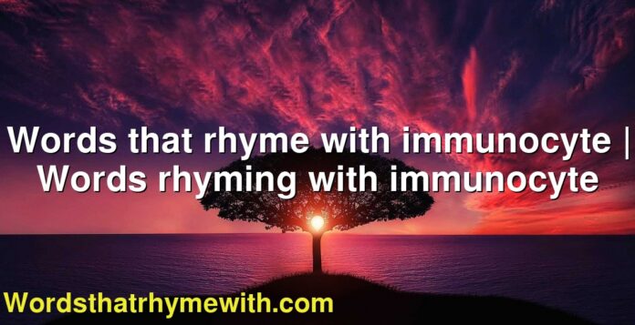 Words that rhyme with immunocyte | Words rhyming with immunocyte