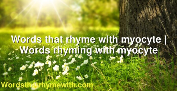 Words that rhyme with myocyte | Words rhyming with myocyte
